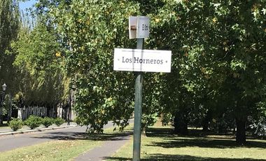 place photo 18