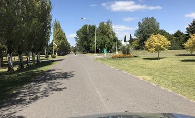 place photo 34