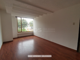 Foto 7 de casa en arriendo en maldonado. Cod A5659