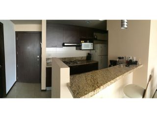 Foto 3 de VENDO PRECIOSA SUITE EN ELITE BUILDING