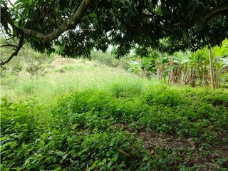 LOTE EN VENTA EN NUEVA FLORIDA SOPETRAN ANTIOQUIA