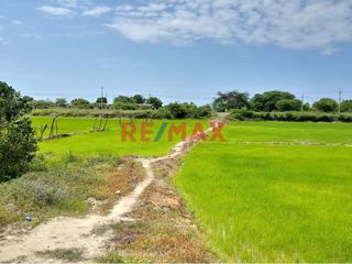 Foto 7 de 🌟 ¡OPORTUNIDAD ÚNICA PARA INVERSORES Y DESARROLLADORES! 🌟

📍 Ubicación Privilegiada: Terreno en La Cruz, Tumbes.
📐 Extensión Impresionante: 6,300.0