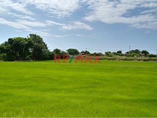 Foto 4 de 🌟 ¡OPORTUNIDAD ÚNICA PARA INVERSORES Y DESARROLLADORES! 🌟

📍 Ubicación Privilegiada: Terreno en La Cruz, Tumbes.
📐 Extensión Impresionante: 6,300.0