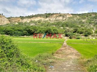 Foto 3 de 🌟 ¡OPORTUNIDAD ÚNICA PARA INVERSORES Y DESARROLLADORES! 🌟

📍 Ubicación Privilegiada: Terreno en La Cruz, Tumbes.
📐 Extensión Impresionante: 6,300.0