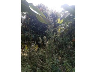 Foto 8 de FUNDO AGRCOLA PARA SIEMBRA O PROYECTOS DIVERSOS EN CHANCHAMAYO