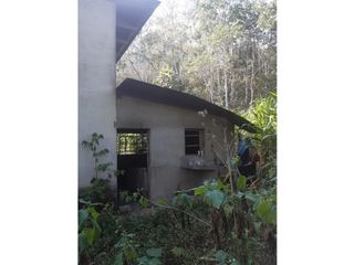 Foto 4 de FUNDO AGRCOLA PARA SIEMBRA O PROYECTOS DIVERSOS EN CHANCHAMAYO