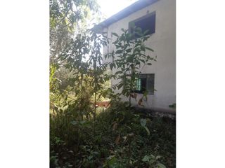 Foto 3 de FUNDO AGRCOLA PARA SIEMBRA O PROYECTOS DIVERSOS EN CHANCHAMAYO