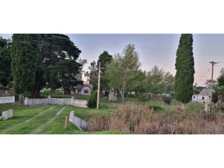 5 HECTREAS