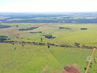Se vende Campo  en Gobernador Virasoro Corrientes. 478 hectáreas. Tierra colorada.