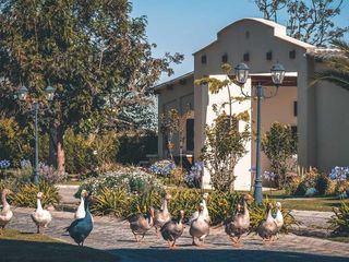 Foto 6 de Venta de casas de 2 dormitorios en exclusivo conjunto, Checa