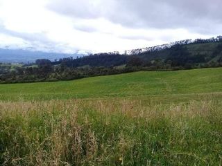 Foto 8 de Vendo Hermosas Haciendas en la Provincia de Pichincha