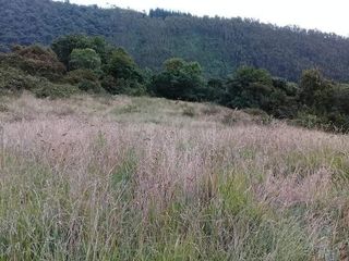 Foto 5 de Vendo Hermosas Haciendas en la Provincia de Pichincha