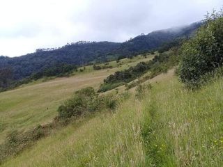 Foto 7 de Vendo Hermosas Haciendas en la Provincia de Pichincha