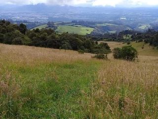 Foto 4 de Vendo Hermosas Haciendas en la Provincia de Pichincha