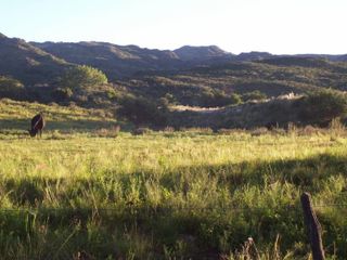 21 hectáreas Valle de Ongamira