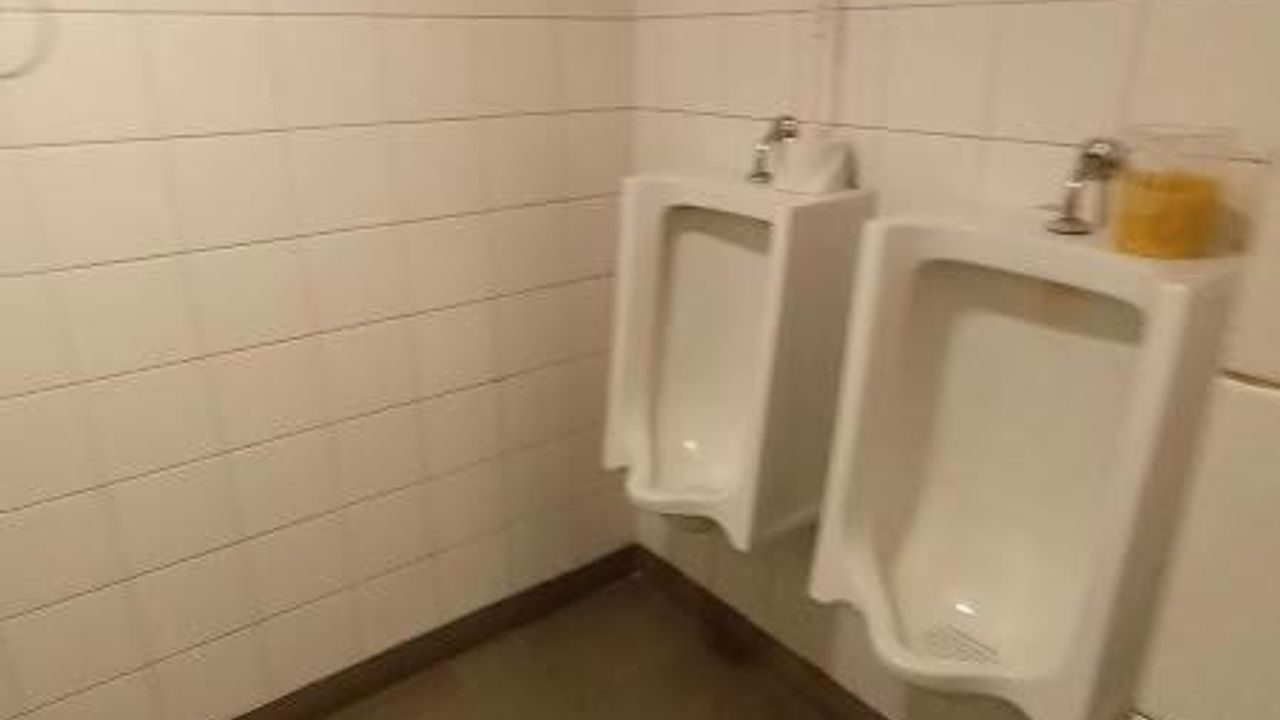 place photo 29