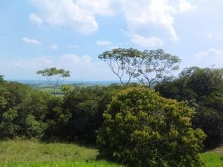 Foto 4 de lote en venta en pance. Cod V10825