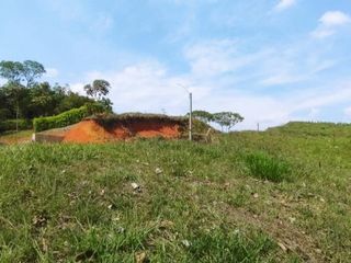 Foto 2 de lote en venta en pance. Cod V10825