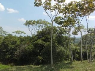 Foto 6 de lote en venta en pance. Cod V10825