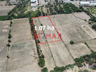 Foto 7 de 🌾 ¡Oportunidad Única para Inversionistas y Agricultores! 🌾

Presentamos este exclusivo terreno agrícola de 1.07 hectáreas, un espacio donde la ferti
