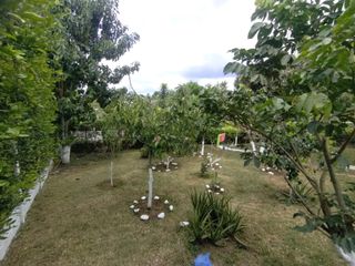 Foto 6 de Venta de Casa - Finca en Ruitoque Bajo - Acapulco. Cod V5825