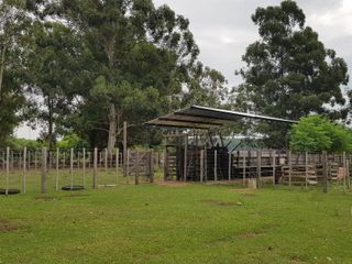 Se Vende Campo Foresto-ganadero  de 885 ha en Paraje Galarza. Iberá. Corrientes