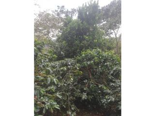 Finca para la venta en Gomez Plata