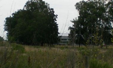 place photo 19