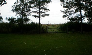 place photo 21