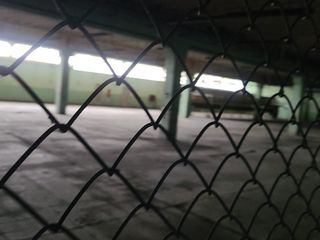 Foto 6 de Bodegas en Alquiler vía Daule