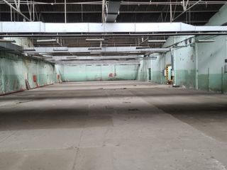 Foto 5 de Bodegas en Alquiler vía Daule