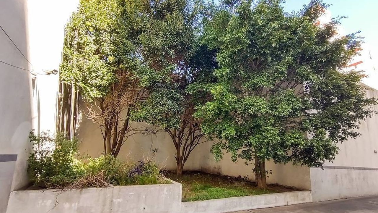 place photo 20