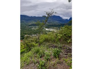 Foto 4 de VENDO FINCA DE 1 HA. EN SAN RAMÓN - CHANCHAMAYO