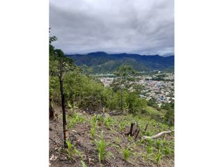 Foto 2 de VENDO FINCA DE 1 HA. EN SAN RAMÓN - CHANCHAMAYO
