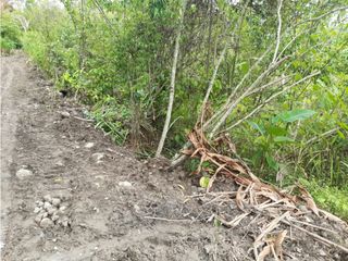 Foto 14 de VENDO FINCA DE 1 HA. EN SAN RAMÓN - CHANCHAMAYO