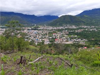 Foto 1 de VENDO FINCA DE 1 HA. EN SAN RAMÓN - CHANCHAMAYO