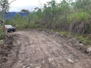 Foto 6 de VENDO FINCA DE 1 HA. EN SAN RAMÓN - CHANCHAMAYO
