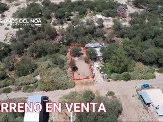 Foto 1 de TERRENO EN VENTA PUEBLO NUEVO CAFAYATE