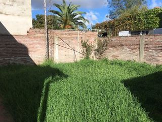 Foto 6 de VENTA DE CASA EN Lobos