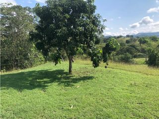 Finca o lote Tocaima: 30 hectáreas