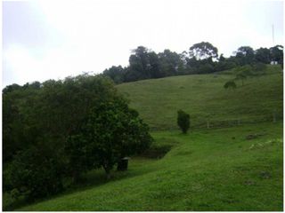 SE VENDE FINCA EN BUGA. A