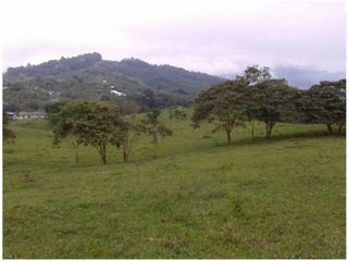SE VENDE FINCA EN BUGA. A