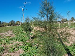 Venta Terreno Longchamps - Lote Barrio 