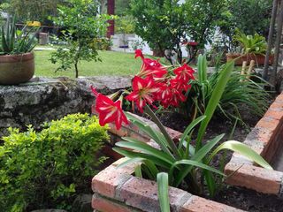 Foto 9 de hotel en arriendo en porvenir. Cod A11444