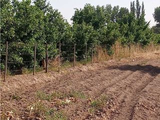 Foto 3 de ¡OPORTUNIDAD ÚNICA! VENTA FINCA 5 HAS PHILLIPS, JUNN