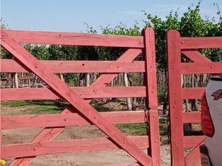 Foto 6 de ¡OPORTUNIDAD ÚNICA! VENTA FINCA 5 HAS PHILLIPS, JUNN