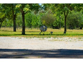 Foto 22 de Lote en venta en Club de 