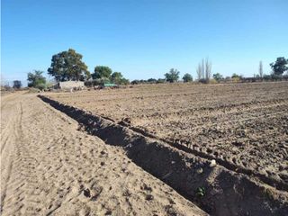 Foto 4 de VENTA DE EXCELENTE FINCA 21 HAS EN CALLE SALADO, RIVADAVIA- MZA.