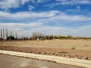 Foto 3 de VENTA Lote 300 m2 Barrio Semi-Privado &quotDistrito Moron" Maipu