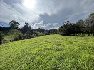 Lote Independiente Vereda Ranchería